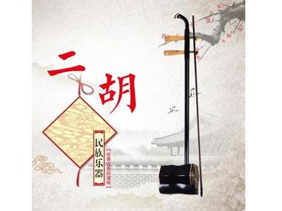 招聘安顺二胡家教老师